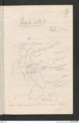 Seite 4, Tagebuch "Kuffern (ab 1930)" (NHMW-PRAE-BBB-57)